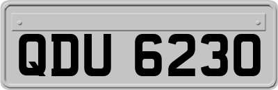 QDU6230