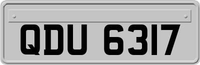 QDU6317