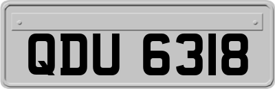 QDU6318