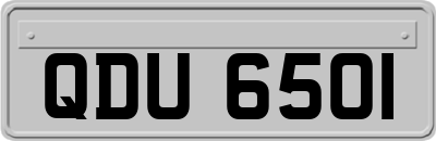 QDU6501