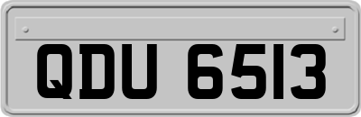 QDU6513