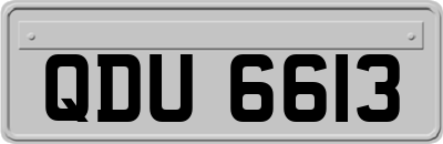 QDU6613