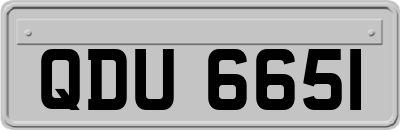 QDU6651
