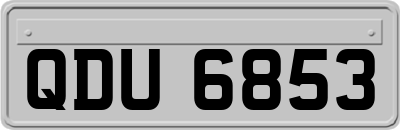 QDU6853