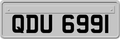 QDU6991