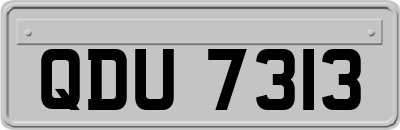 QDU7313