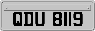 QDU8119