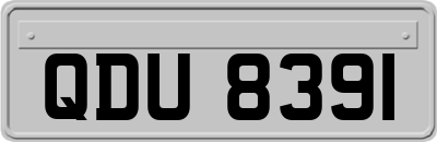 QDU8391