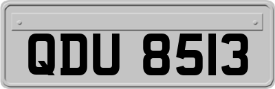 QDU8513