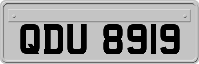 QDU8919