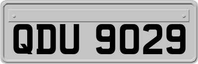 QDU9029
