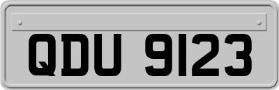 QDU9123