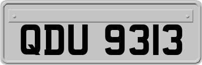 QDU9313