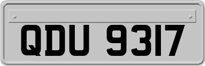 QDU9317