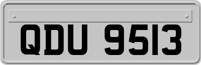 QDU9513