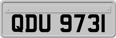 QDU9731