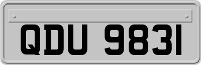 QDU9831