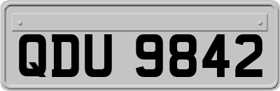 QDU9842