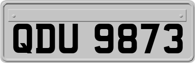 QDU9873