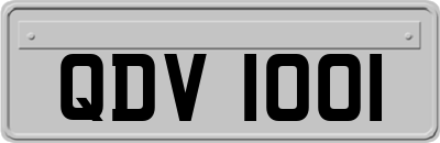 QDV1001