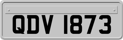 QDV1873