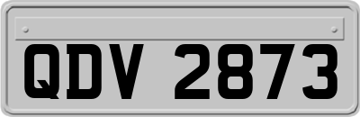 QDV2873