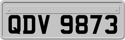 QDV9873