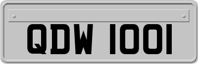 QDW1001