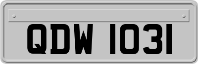 QDW1031