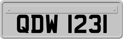 QDW1231