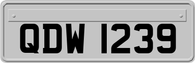 QDW1239