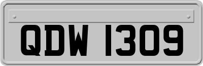 QDW1309