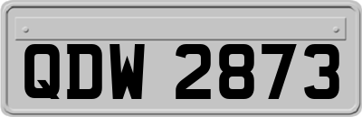QDW2873