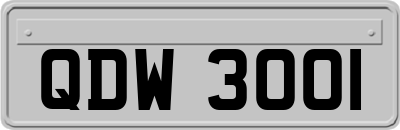 QDW3001