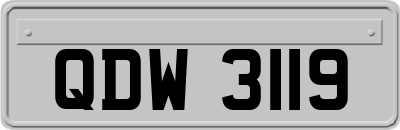 QDW3119