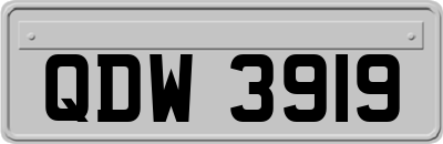 QDW3919
