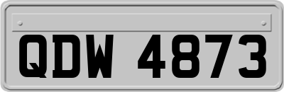 QDW4873