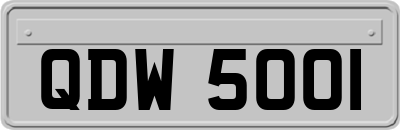 QDW5001