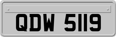QDW5119