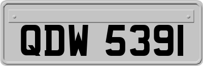 QDW5391