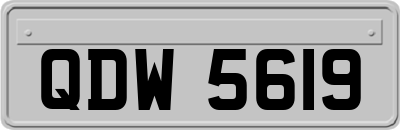QDW5619