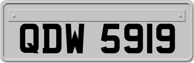 QDW5919