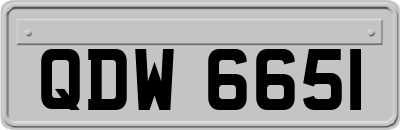 QDW6651