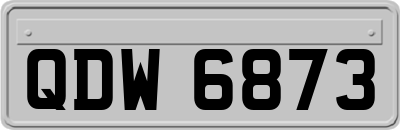 QDW6873
