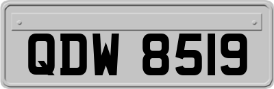 QDW8519