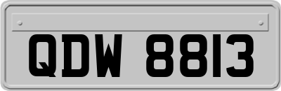 QDW8813
