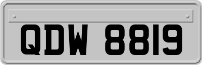 QDW8819