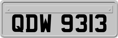 QDW9313