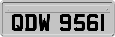 QDW9561