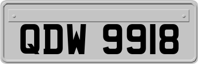 QDW9918